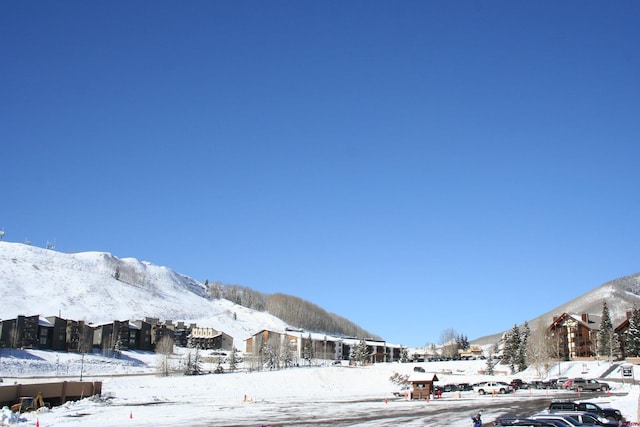mountain view