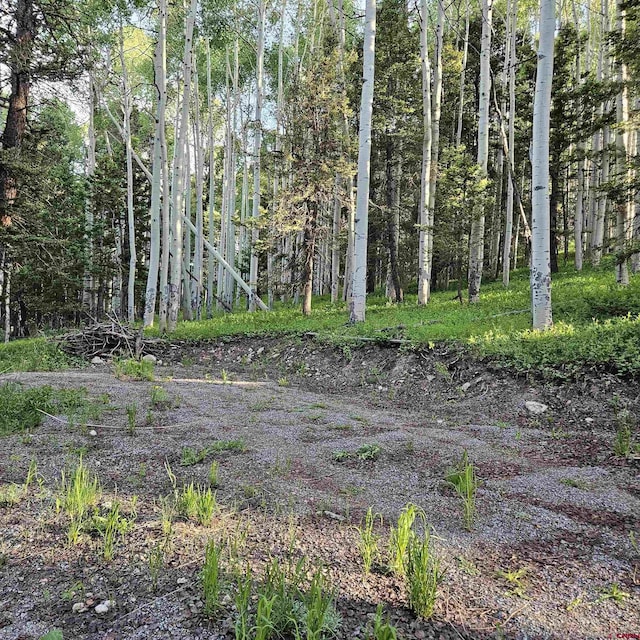 591 Crest Dr, Cimarron, CO 81220