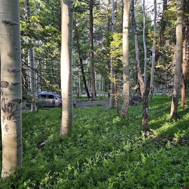 591 Crest Dr, Cimarron, CO 81220