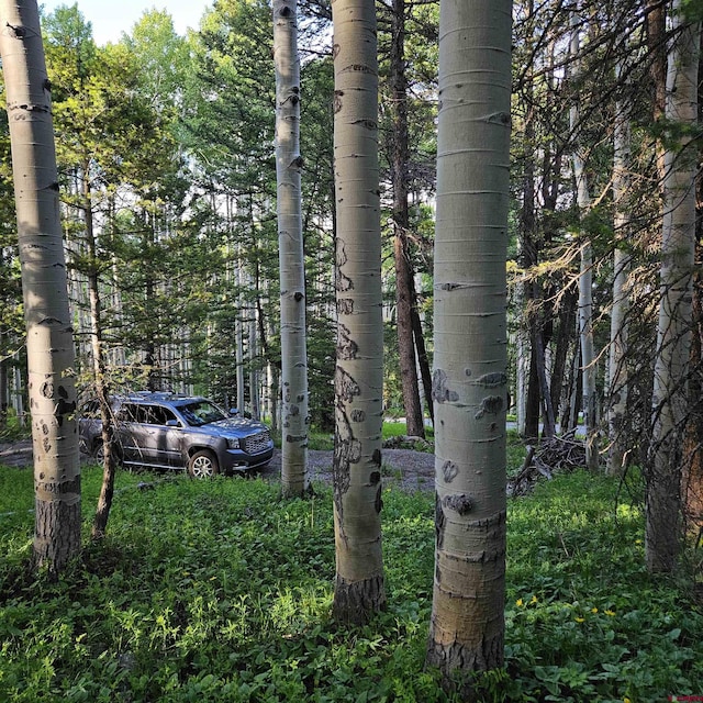 591 Crest Dr, Cimarron, CO 81220