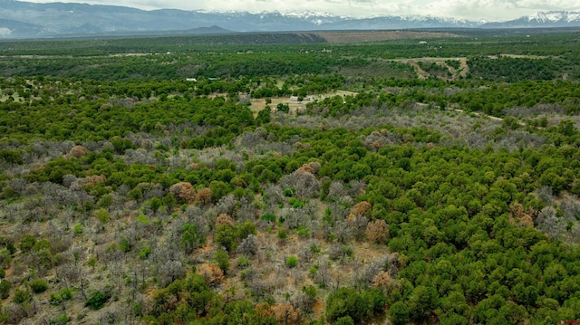 850 Canyon Ridge Rd, Montrose, CO 81403