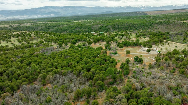 850 Canyon Ridge Rd, Montrose, CO 81403