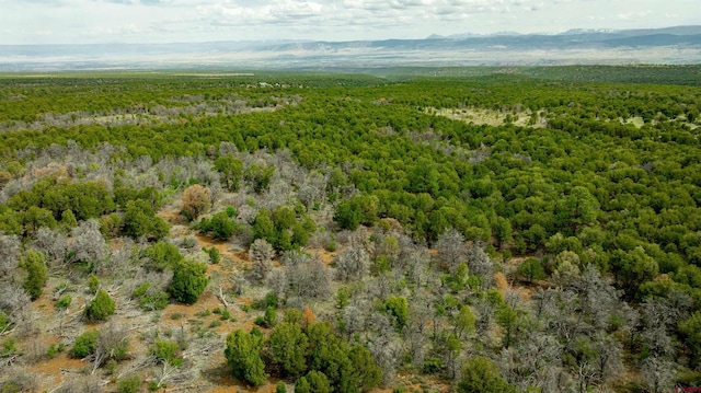 850 Canyon Ridge Rd, Montrose, CO 81403