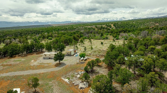 850 Canyon Ridge Rd, Montrose, CO 81403