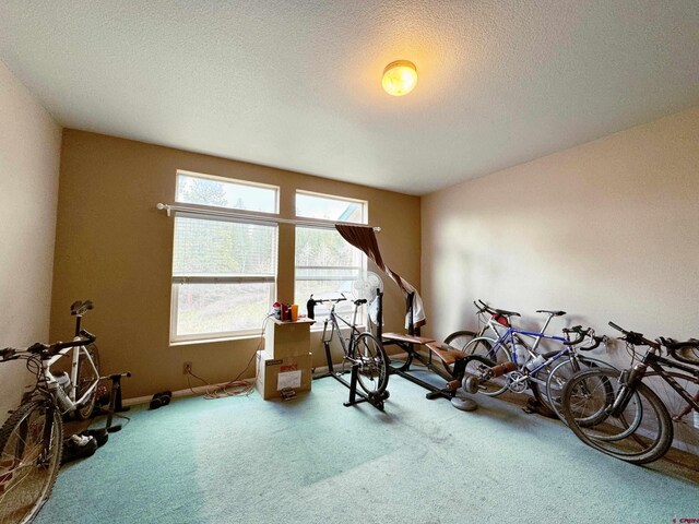 360 Forest Hill Rd, Ridgway, CO 81432 - miscellaneous room featuring carpet, a textured ceiling, and baseboards