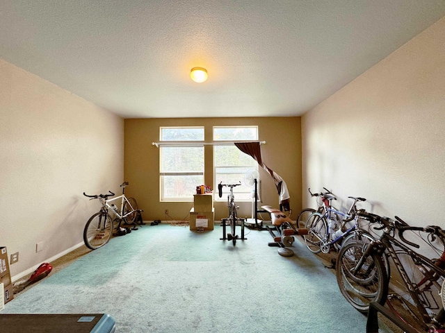 360 Forest Hill Rd, Ridgway, CO 81432 - misc room with carpet, a textured ceiling, and baseboards