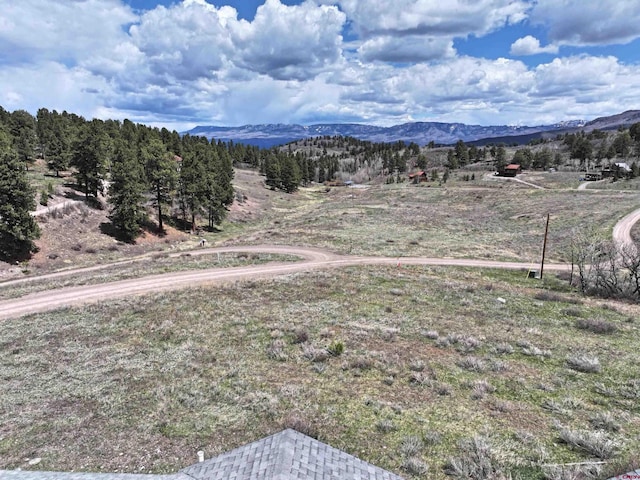 360 Forest Hill Rd, Ridgway, CO 81432 - view of mountain background