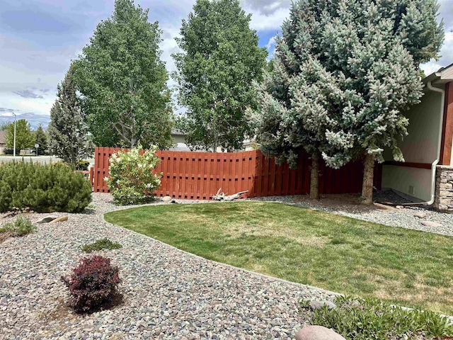 view of yard