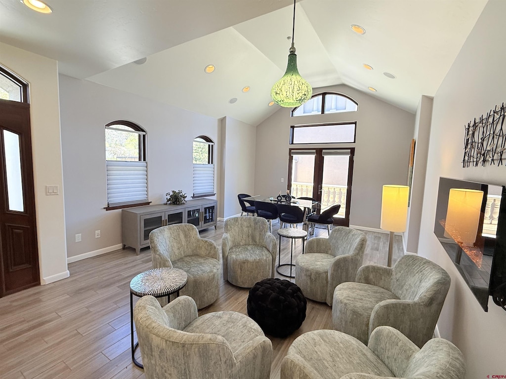 3416 Main Ave Unit 201, Durango, CO 81301 - living room featuring healthy amount of natural light, light wood-style flooring, vaulted ceiling, and baseboards