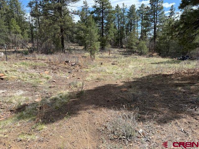 383 Justins Rd, Pagosa Springs, CO 81147