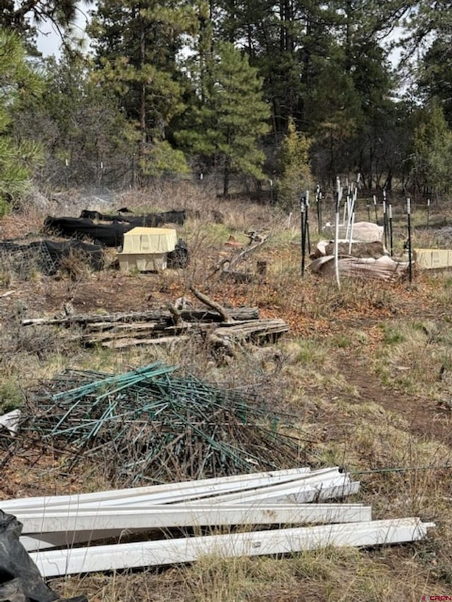 383 Justins Rd, Pagosa Springs, CO 81147
