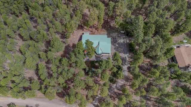 aerial view of property's location