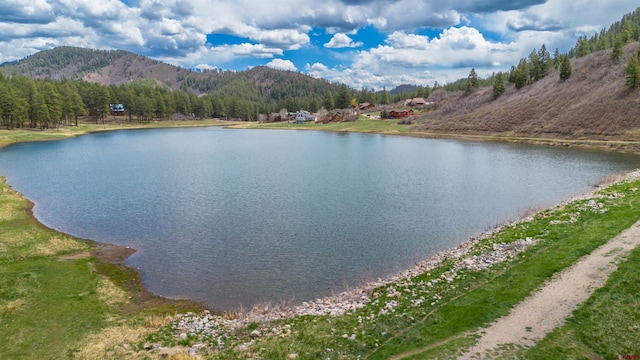 water view featuring a mountain backdrop and a forest