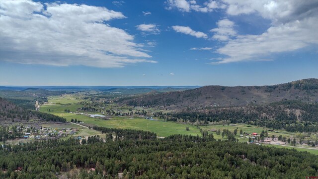 aerial view of a mountain backdrop and a heavily wooded area