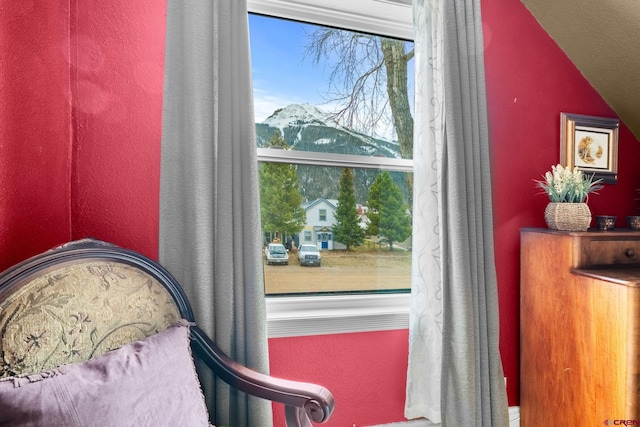 1257 Snowden St, Silverton, CO 81433 - sitting room featuring a textured wall