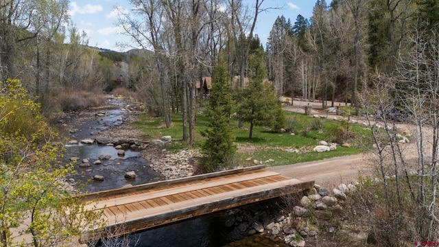 99 River Rd, Durango, CO 81301 - view of property's community with a wooded view and a boat dock