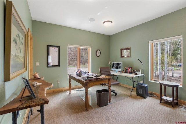 99 River Rd, Durango, CO 81301 - office space with light carpet and baseboards