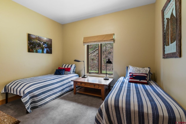 99 River Rd, Durango, CO 81301 - bedroom with carpet flooring