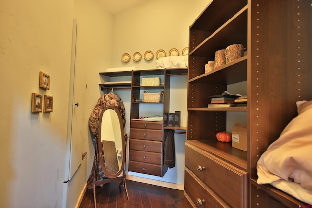 53315 Bull Basin Rd, Mesa, CO 81643 - spacious closet featuring dark wood-type flooring