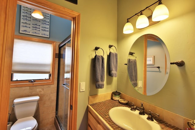 53315 Bull Basin Rd, Mesa, CO 81643 - bathroom featuring a shower stall, toilet, and vanity