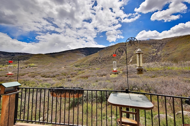 53315 Bull Basin Rd, Mesa, CO 81643 - mountain view