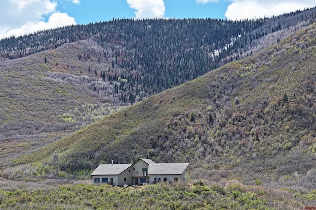 53315 Bull Basin Rd, Mesa, CO 81643 - view of mountain backdrop with a heavily wooded area