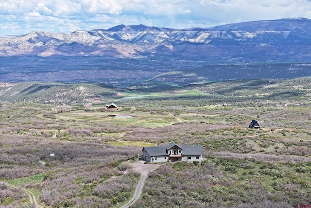 53315 Bull Basin Rd, Mesa, CO 81643 - view of mountain background