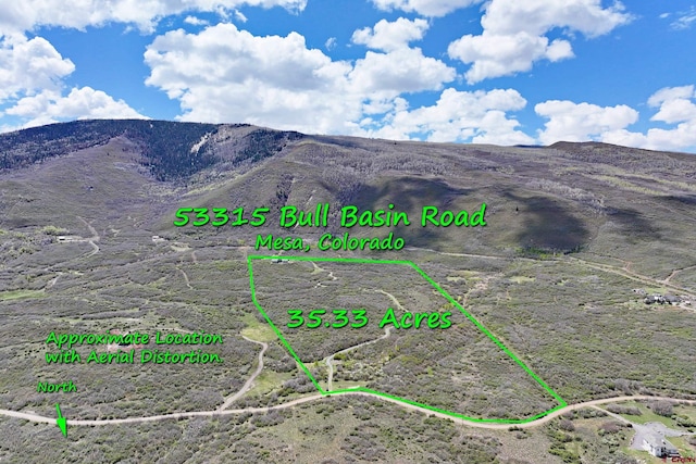 53315 Bull Basin Rd, Mesa, CO 81643 - view of mountain backdrop
