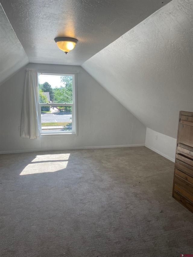 145 S Madison St, Cortez, CO 81321 - bonus room featuring a textured ceiling, lofted ceiling, carpet flooring, and baseboards
