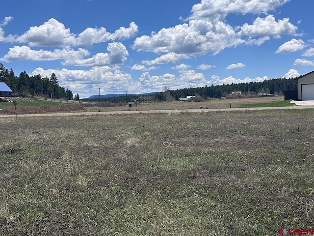 59 Saddle Cir, Pagosa Springs, CO 81147