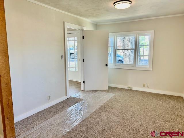 1414 Bluff St, Delta, CO 81416 - empty room featuring carpet, ornamental molding, and baseboards
