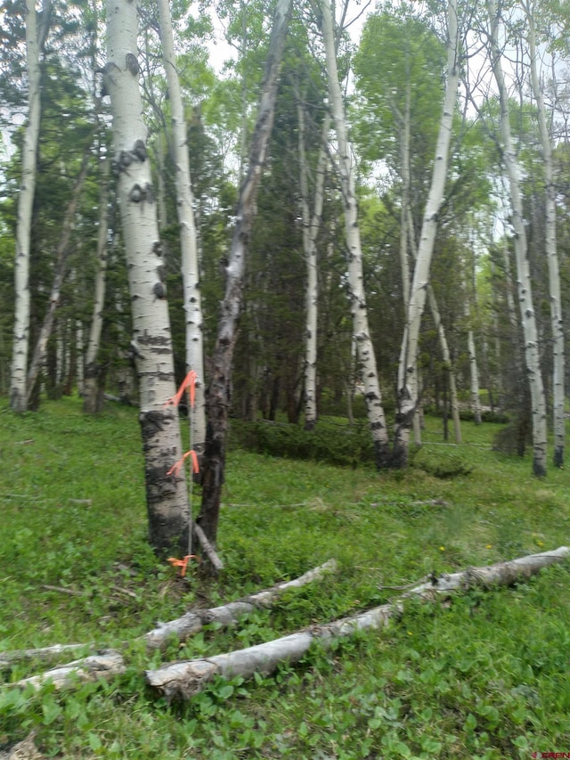 525 Crest Dr, Cimarron, CO 81220