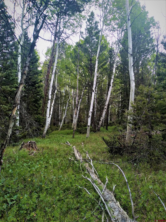 525 Crest Dr, Cimarron, CO 81220