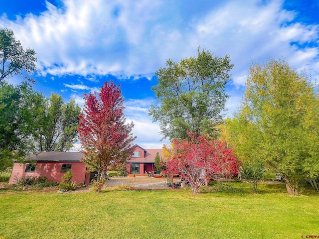 view of grassy yard