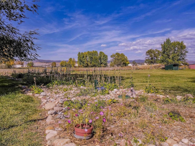 view of grassy yard with a mountain view