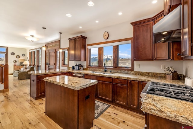 32 Cinnamon Mountain Rd, Mount Crested Butte, CO 81225 - kitchen with under cabinet range hood, a sink, a peninsula, light wood finished floors, and stainless steel dishwasher