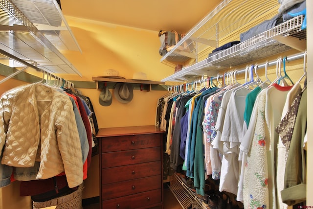 10491 54 7/10 Rd, Molina, CO 81646 - view of spacious closet