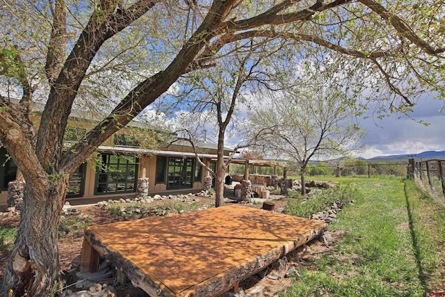 10491 54 7/10 Rd, Molina, CO 81646 - view of yard