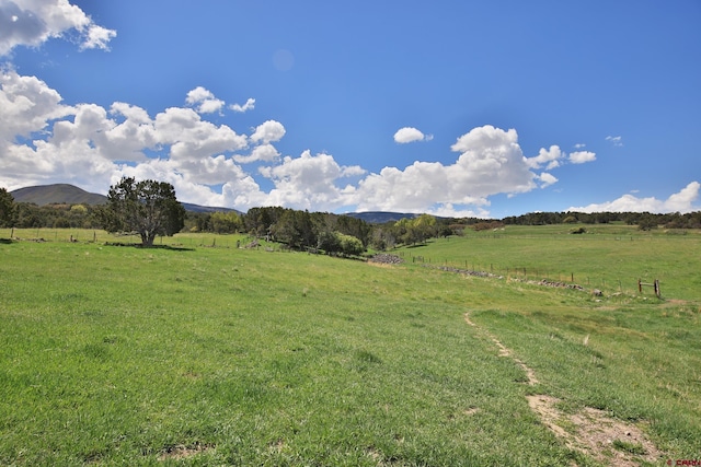 10491 54 7/10 Rd, Molina, CO 81646 - view of grassy yard with a view of rural / pastoral area and a mountain view