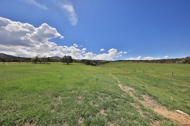 10491 54 7/10 Rd, Molina, CO 81646 - view of green lawn featuring a rural view