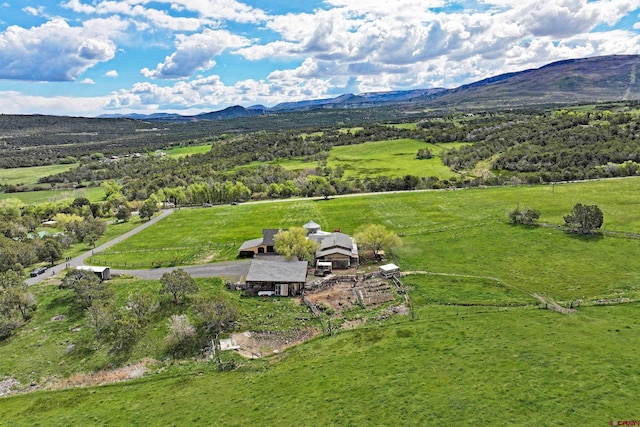 10491 54 7/10 Rd, Molina, CO 81646 - overview of rural landscape featuring a mountain backdrop