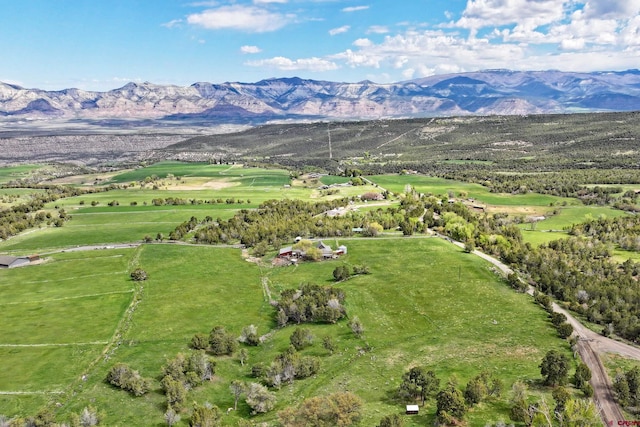 10491 54 7/10 Rd, Molina, CO 81646 - bird's eye view of mountains
