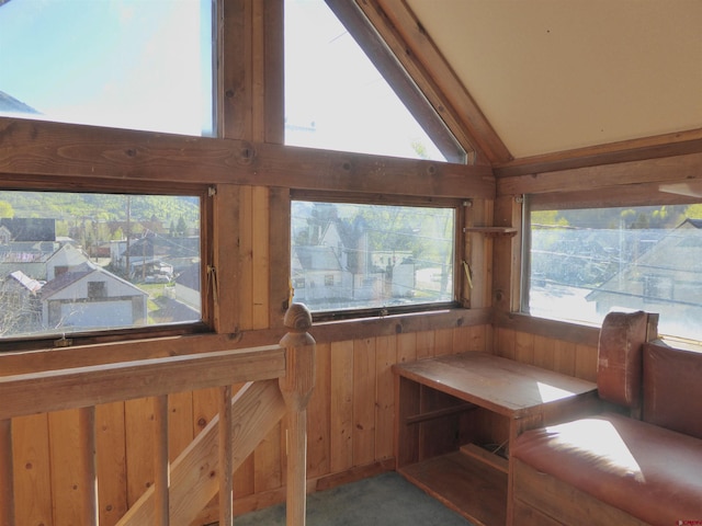 858 Reese St, Silverton, CO 81433 - sunroom with lofted ceiling