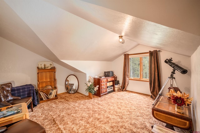 520 Los Ranchitos Dr, Durango, CO 81301 - living area featuring carpet, vaulted ceiling, baseboards, and a textured ceiling