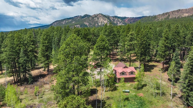 520 Los Ranchitos Dr, Durango, CO 81301 - view of mountain background featuring a forest
