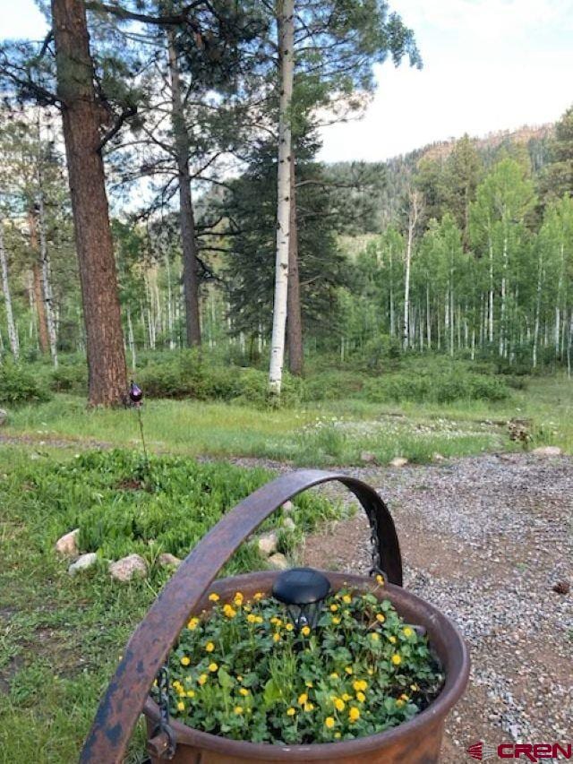 520 Los Ranchitos Dr, Durango, CO 81301 - view of yard featuring a forest view