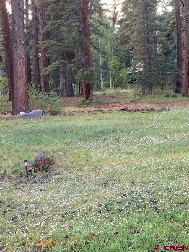 520 Los Ranchitos Dr, Durango, CO 81301 - view of yard with a forest view