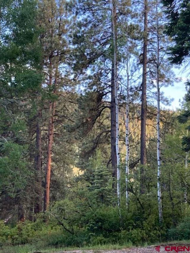 520 Los Ranchitos Dr, Durango, CO 81301 - view of wooded area