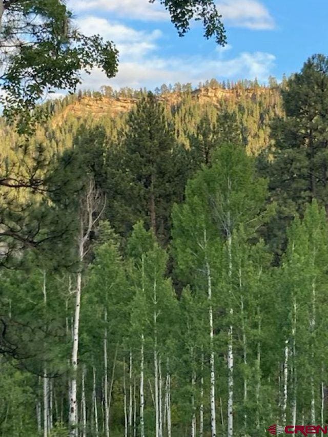 520 Los Ranchitos Dr, Durango, CO 81301 - view of wooded area