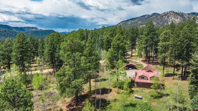 520 Los Ranchitos Dr, Durango, CO 81301 - mountain view with a heavily wooded area